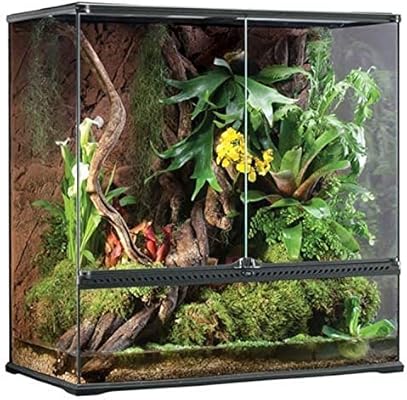 sparkle pink dog food