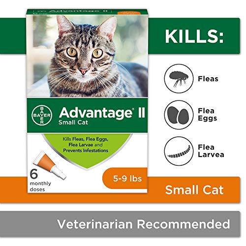 Flea Prevention for Cats, 5-9 lb, 6 doses, Advantage II