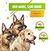 Pawrennial Glucosamine for Dogs - 140 Soft Chews Treats - Natural & Organic Hip and Joint Supplement for Dogs, Glucosamine Chondroitin for Dogs, MSM Turmeric & Hemp Seed Virgin Oil Omega 3-6