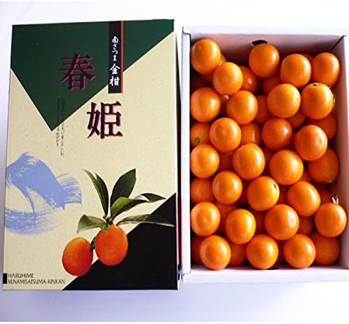 Amazon Ja南さつま きんかん春姫 2kg 株式会社aコープ鹿児島 みかん 柑橘類 通販