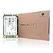 RECADATA mSATA III MLC High Level Enterprise Class Solid State Drive SSD (128GB)