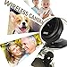 Mini IP Camera, Night Vision 720P HD Home WiFi Wireless Security Surveillance Camera System with Motion Email Alert/Remote Monitoring (Black)