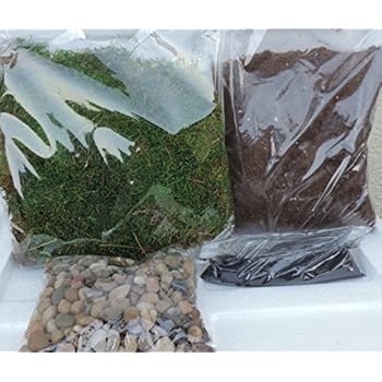 Terrarium Essentials Kit sold by JM Bamboo