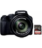 Amazon.com : Panasonic LUMIX FZ80D Point and Shoot Digital Camera
