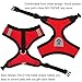 INVENHO Mesh Harness with Padded Vest for Puppy and Cats No Choke Design Ventilation Gift with One Leash & Seat Belt(X-Small,Red)
