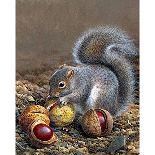 Diy 5D Diamond Sticker Painting Kits Arts Crafts - Cute Squirrel(Frameless)