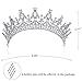 BABEYOND Crystal Queen Tiara Birthday Crown Rhinestones Pageant Quinceanera Crown Prom Princess Tiara Crown Bridal Wedding Crown Tiara Headband (Silver)