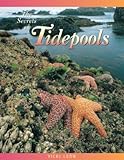 The Secrets of Tidepools: The Bright World of the Rocky Shoreline (Jean-Michel Cousteau Presents)