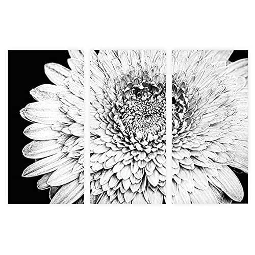 Modern Floral Wall Art, 3Piece Abstract Black White Floral