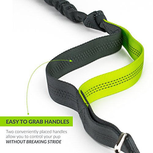 Tuff Mutt Hands Free Dog Leash For Running That Makes A Great Waist