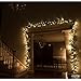 Set of 100 Clear Miniature Christmas Lights - Mini Holiday String Lights