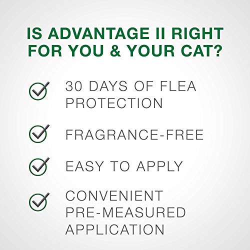4 Advantage+Flea+Control+Large+Cats