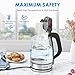 Electric Kettle Glass Tea Kettle, Cordless Water Kettle with Strong Borosilicate Glass, Dual Safety Locker, British Strix for Boil Dry Protection and Auto Shut off Function,1500W, 1.7L, Aicok
