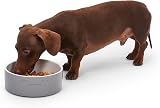 Petface Bone Ceramic Pet Bowl 20 cm Grey White for Dogs Cats view 5