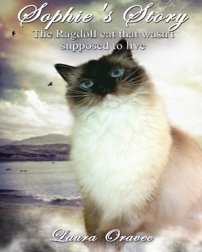 Sophie's Story: The Ragdoll cat that wasn't supposed to live