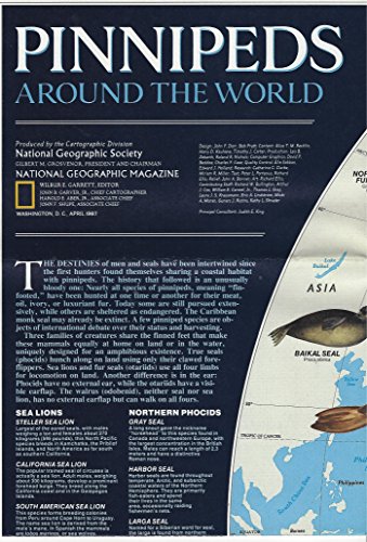 Download Pinnipeds Around the World