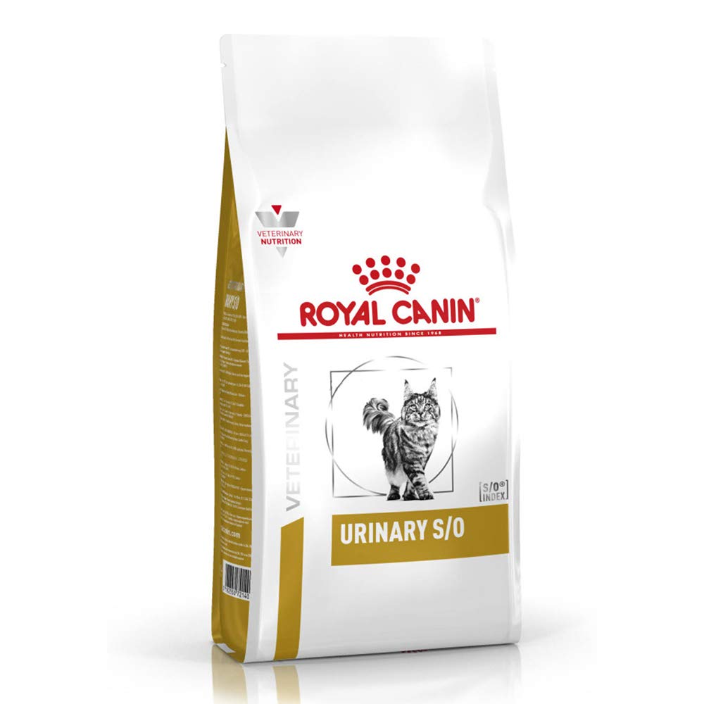 Best Does Magnesium Cause Frequent Urination