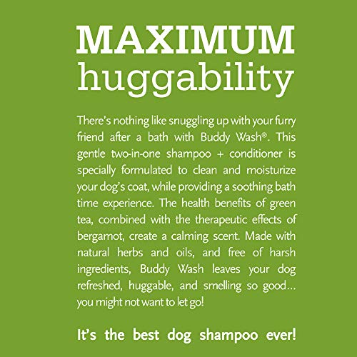 Buddy Biscuits Buddy Wash Dog Shampoo & Conditioner for Dogs with