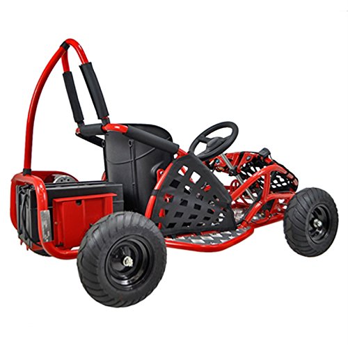48v 1000w electric go kart
