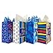Set of Hanukkah Gift Bags and Tissue Paper (4 Bags + Tissue, Hanukkah Bags)