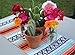Del Mex (TM) Traditional Falsa Mexican Blanket Table Runner (Mint/Orange)