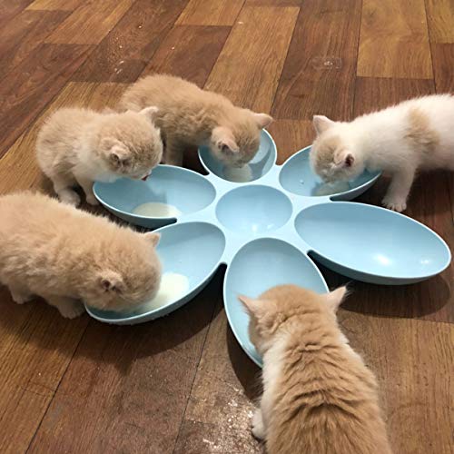 multiple cat feeder