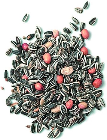 Erdtmann Meisenfutter Titmouse Food, 5 Kg(pack of 3), 5 kg (Pack of 3) - Image 3