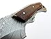 Poshland BC-33, Custom Handmade Full Tang Damascus Steel Skinner Knife - Brown Jute Micarta Handle