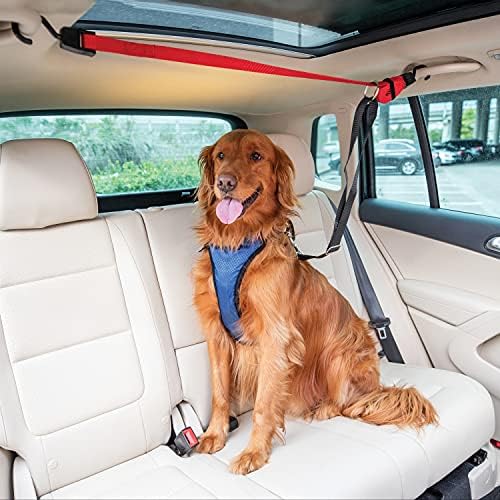 PetSafe Happy Ride Dog Zipline – Back Seat Leash, Great for Travel