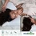 Pillows Standard Size Set of 2 (20x26 inch) - Bed Pillow fo Sleeping 2 Pack – Soft Material