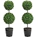 Admired By Nature 18 Inch Artificial Boxwood Topiary Plants - 2 Ball-Shape Faux Topiaries with Planters for Home Decor, Office Desk, Front Porch Indoor and Outdoor - Green with Black Pot, 2 Pack