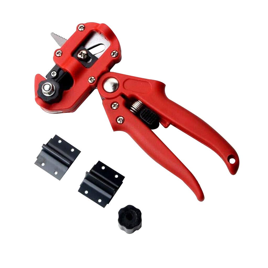 Best Stainless Steel Zen Garden Rake