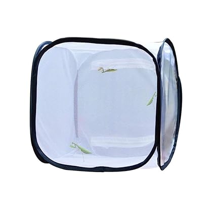 Leoie Butterfly Observation Cage Collapsible Insect Cage Insect Control Seedling Light Transmission Incubator 30*30*30