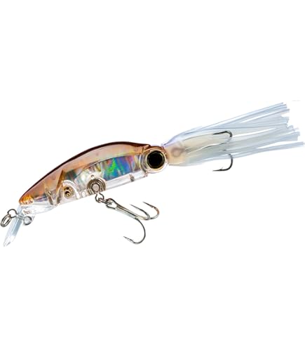 Amazon.com: Yo-Zuri R1166-CPGR 3D Squirt, Color, Gold Red