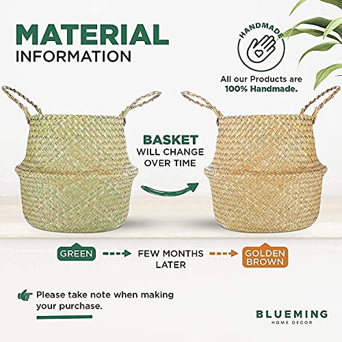 Plant Baskets Extra Large Woven Basket Planter for Indoor Plants, Decorative 13 Inch Seagrass
