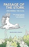Passage of the Stork, Delivering the Soul: One Woman's Journey to Self-Realization and Acceptance by Madeleine Lenagh