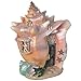 Fiddlehead Fairy Garden Conch Condo Shell Fairy House