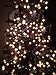 3D Christmas Glasses – 10 Pairs / 10 Turn Christmas Tree & Holiday Lights into Magical Images – Stocking Stuffers – Secret Santa – Office Parties – Fun for The Familythumb 1