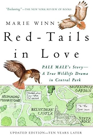 Red-Tails in Love: A Wildlife Drama in Central Park (Vintage Departures)