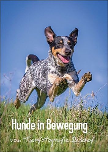Hunde In Bewegung Das Posterbuch Von Tierfotografie - 