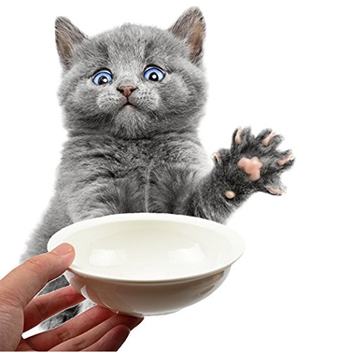 CHUCHU Pet Dog Food Bowl Ceramic Design Feeding Water Food Puppy Feeder Waterers Bebedores Small Puppy Dogs
