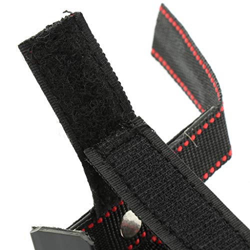 Flameer Durable Dog Ear Care Tool Ear Stand Up for Doberman Pinscher, Samoyed, Great Dane and So on - Plastics & Nylon Material S-XL to Choose - S - Thumbnail 4