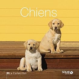 Chiens