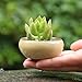 8 PCS 2.25 Inch Mini Ceramic Small Succulent Planter Pot Serial Cactus Planter Pot Flower Pot Container Planter