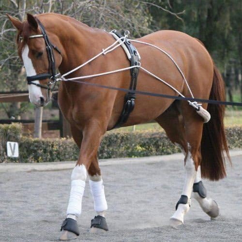 White Horse Equestrian Pessoa Style Pulley Rope Schooling System Training Aid