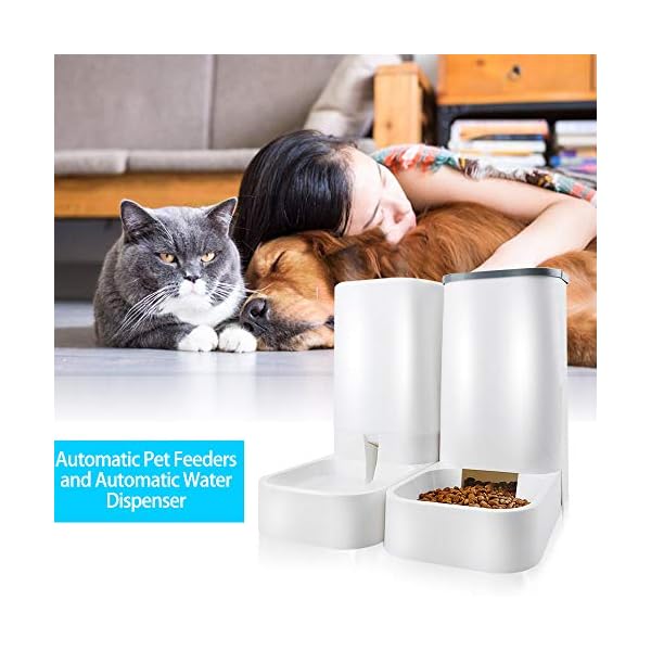 self dispensing cat feeder