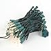 Novelty Lights 34 Feet 100 Bulbs Traditional Incandescent Mini Lights, Clear on Green Wire with 4
