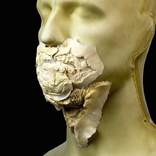 Rubber Wear Foam Latex Prosthetic - Small Zombie Mouth FRW-114 - Makeup FX