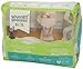Seventh Generation Baby & Toddler Training Pants, Free & Clear, Large Size 3T-4T 32-40lbs, 22ct