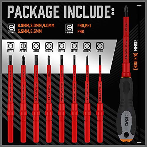HORUSDY 1000V Insulated Screwdriver Set, 10Pieces AllinOne